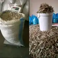 Affordable Kariba Kapenta & Fish WhatsApp Channel