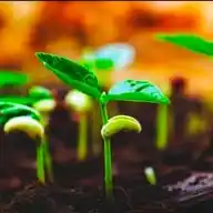 Agri University - The Original WhatsApp Channel