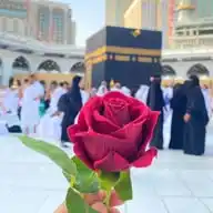 •||•💚(اھـــدنــاالــصـراط الـمــســتـقــیـم)🕋🤲 WhatsApp Channel