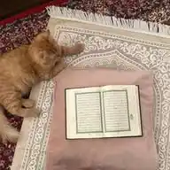 القرآن الكريم WhatsApp Channel