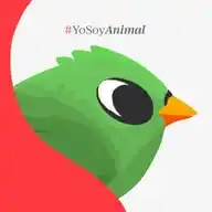 Animal Político WhatsApp Channel