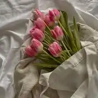 𝗔.𝘀 ( 𝗔𝗿𝗮𝗯𝗶𝗰`𝗦𝗼𝗻𝗴 ) WhatsApp Channel