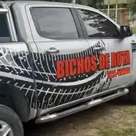 Bichos De Ruta WhatsApp Channel