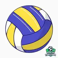 Blog do Torcedor - Vôlei WhatsApp Channel