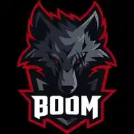 BOOM Esports WhatsApp Channel