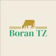 Boran TZ WhatsApp Channel
