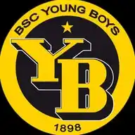 BSC Young Boys WhatsApp Channel