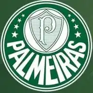 Canal do Palmeiras WhatsApp Channel