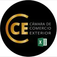CCE - Excel WhatsApp Channel