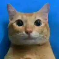 Cerouwu👉👈 WhatsApp Channel