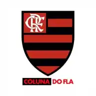 Coluna do Fla | FLAMENGO