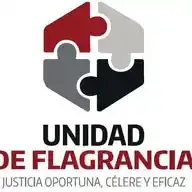 Comisión Nacional de Flagrancia - Poder Judicial del Perú 🇵🇪 WhatsApp Channel