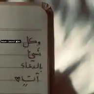 ♡ WhatsApp Channel