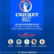 CricketBuzz WhatsApp Channel