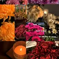 💫🦋🧚🏻‍♀️_𝖋𝖆𝖓𝖙𝖆𝖈ч 🌸 w𝖔𝖗𝖑d_💨🌑🌈 WhatsApp Channel