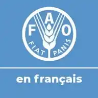 FAO en français WhatsApp Channel