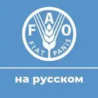 ФАО на русском WhatsApp Channel