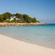 FOCUS online | Mallorca WhatsApp Channel