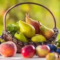 Food and Health WhatsApp Channel