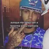 Frases De Todo WhatsApp Channel