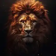𝗙𝗥𝗔𝗦𝗘𝗦 𝗗'𝗟𝗘𝗢‌𝗡🦁🤍✨ WhatsApp Channel