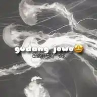 - Gudang Jowo WhatsApp Channel