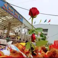 खाटू श्याम साँवारे के दीवाने WhatsApp Channel