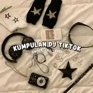 kumpulan dj tiktok🎶 WhatsApp Channel