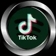 lagu tiktok🎧 WhatsApp Channel