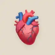  (وطني +جهوي) WhatsApp Channel