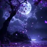 قناة مغربية 🇵🇸🫶 WhatsApp Channel