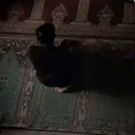 معا للجنه 🤍🥺⦔'. WhatsApp Channel