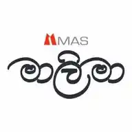 MAS Malima Vacancy Update WhatsApp Channel