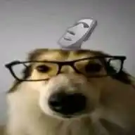Max:3 WhatsApp Channel