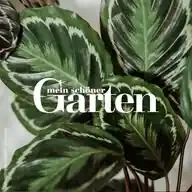 Mein schöner Garten – Zimmerpflanzen: Tipps & Tricks für plantlovers WhatsApp Channel
