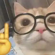 𝖬𝗒 𝖧𝗈𝗇𝖾𝗌𝗍 𝖱𝖾𝖺𝖼𝗍𝗂𝗈𝗇. WhatsApp Channel