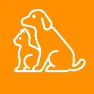 NE10 | Pets: Cachorros, Gatos e Pássaros WhatsApp Channel