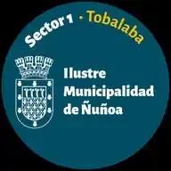 📢 #ÑuñoaAlDía • Sector 1 WhatsApp Channel