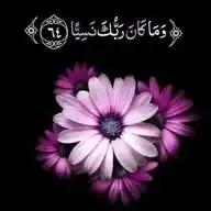 وَمَا كَانَ رَبُّكَ نَسِيًّا🌸💗 WhatsApp Channel