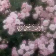 وَصَـــايَـــا الـࢪَسُــولﷺ🎀¹⁴⁴⁵ه‍")↺قرآن، اذكار، احاديث، ادعية، احكام، اقتباسات دينية، Islam WhatsApp Channel