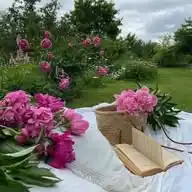 وماڪان ربـك نسيا🤍🌷قرآن اذكارادعية منشورات دينيه فيديوهات اقتباسات اخباراسئله صورورد WhatsApp Channel