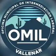 OMIL Vallenar 🌵 WhatsApp Channel