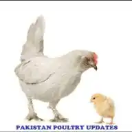 Pakistan Poultry Updates (PPU) WhatsApp Channel