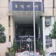 पशुपालन विभाग News Updates WhatsApp Channel