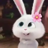 Peliculas Y Series Animadas 🌸 WhatsApp Channel