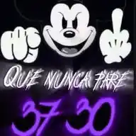 𝔹𝔸𝕟𝔻𝕀𝔻𝕆𝕊 𝓪𝓵 ₣ł₦ 37 WhatsApp Channel