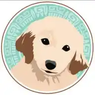 Rankana Pet Shop WhatsApp Channel