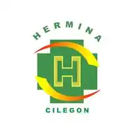 RSU Hermina Cilegon WhatsApp Channel