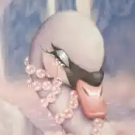꒰͜͡  ꒰͜͡    . ‎🪽᷒ᰰ   ֺ  𝓑𝖺𝗇𝖽  𐓟͜𝗂𝖽   𝗍𝗈   𝗍𝗁𝖾   𝗁𝖾𝖺𝗋𝗍 . . . ੭͡🌸ㅤֺ WhatsApp Channel