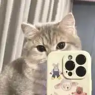— StiCker RandOm♡ WhatsApp Channel